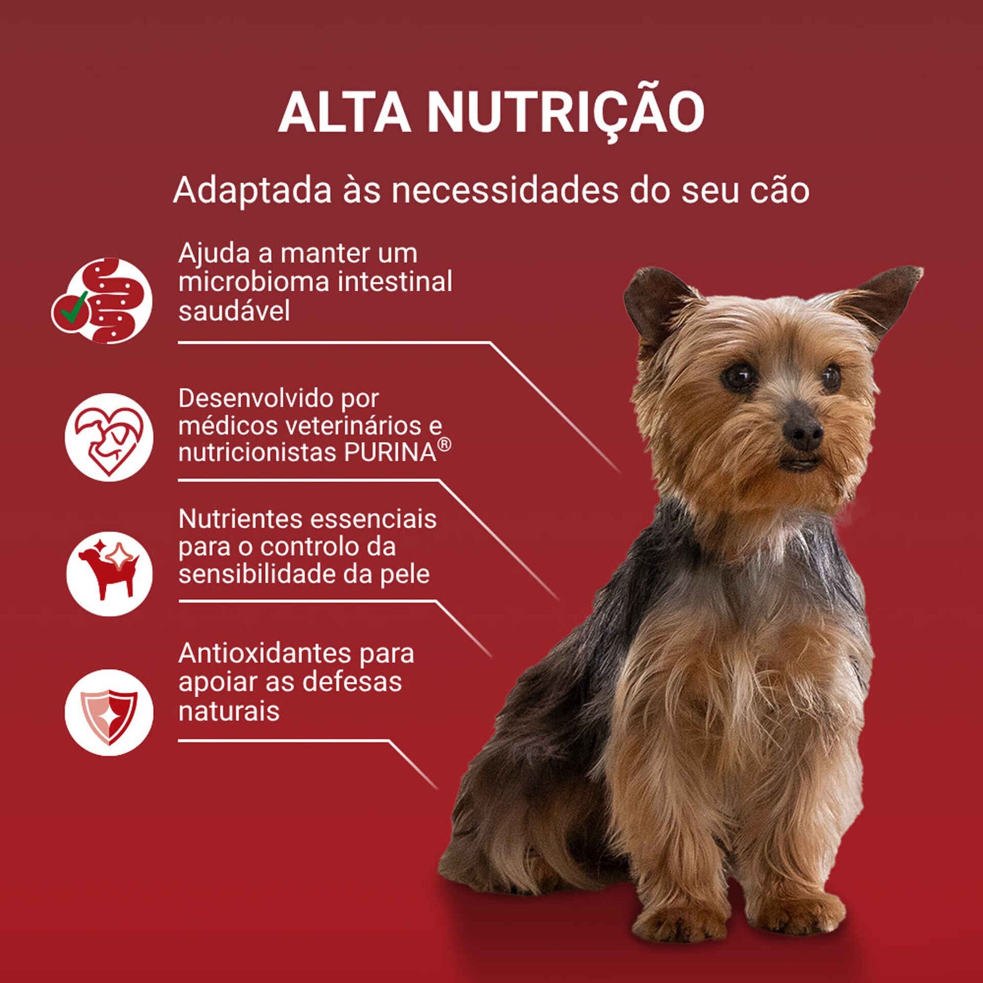 Purina One Mini Delicate Salmão para Cão Adulto 4x85 g