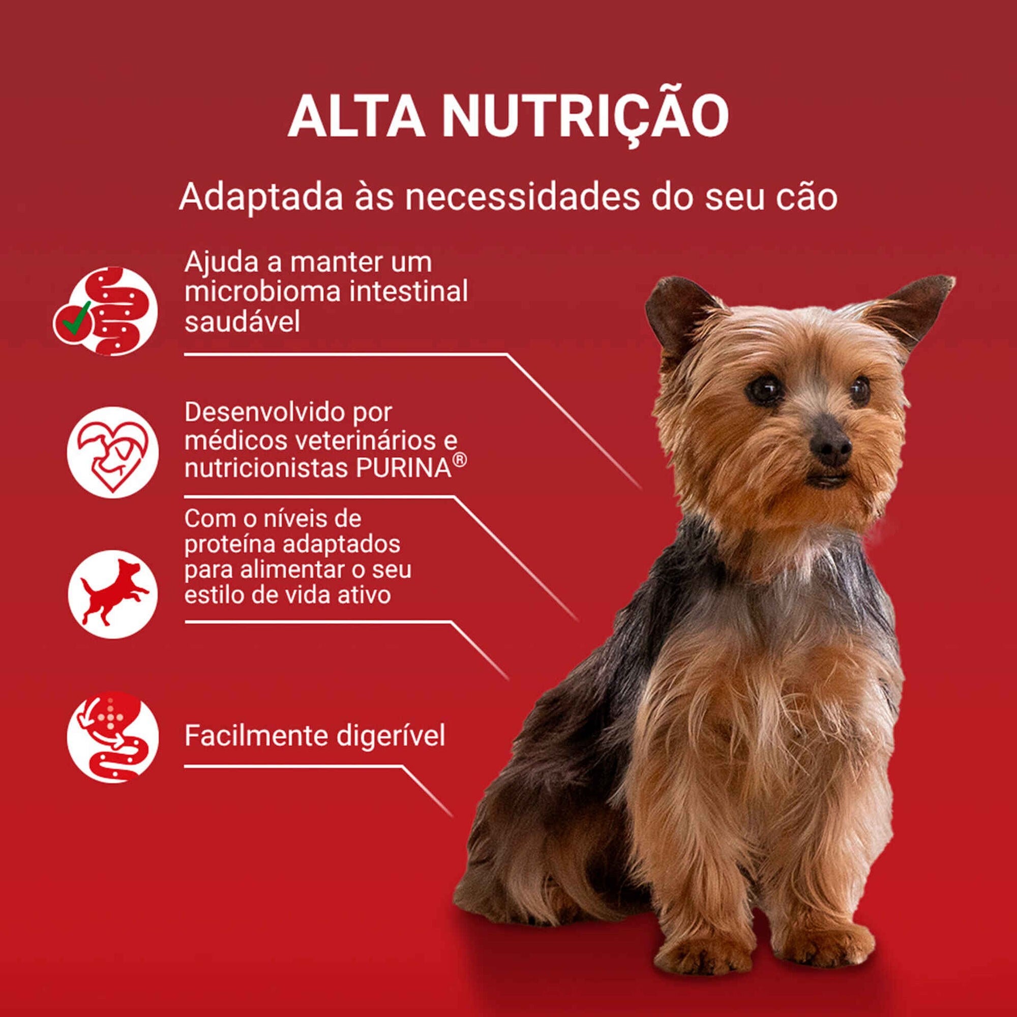 Purina One Mini Active Vaca para Cão Adulto 4x85 g