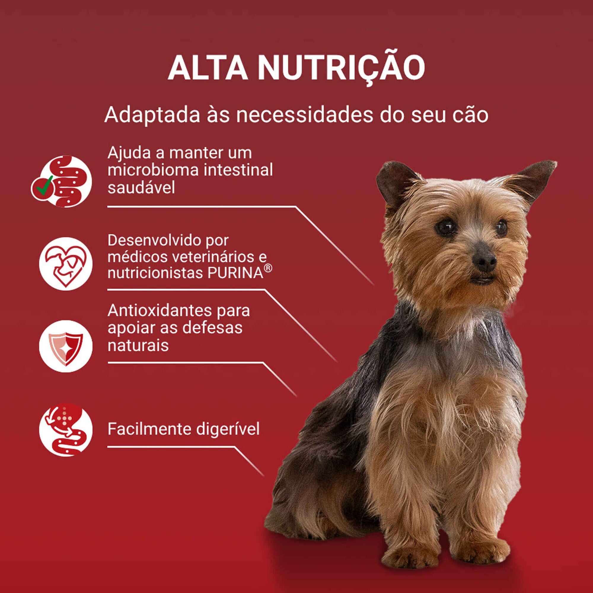 Purina One Mini Comida Húmida para Cão Adulto Sabor Vaca 4x85 g