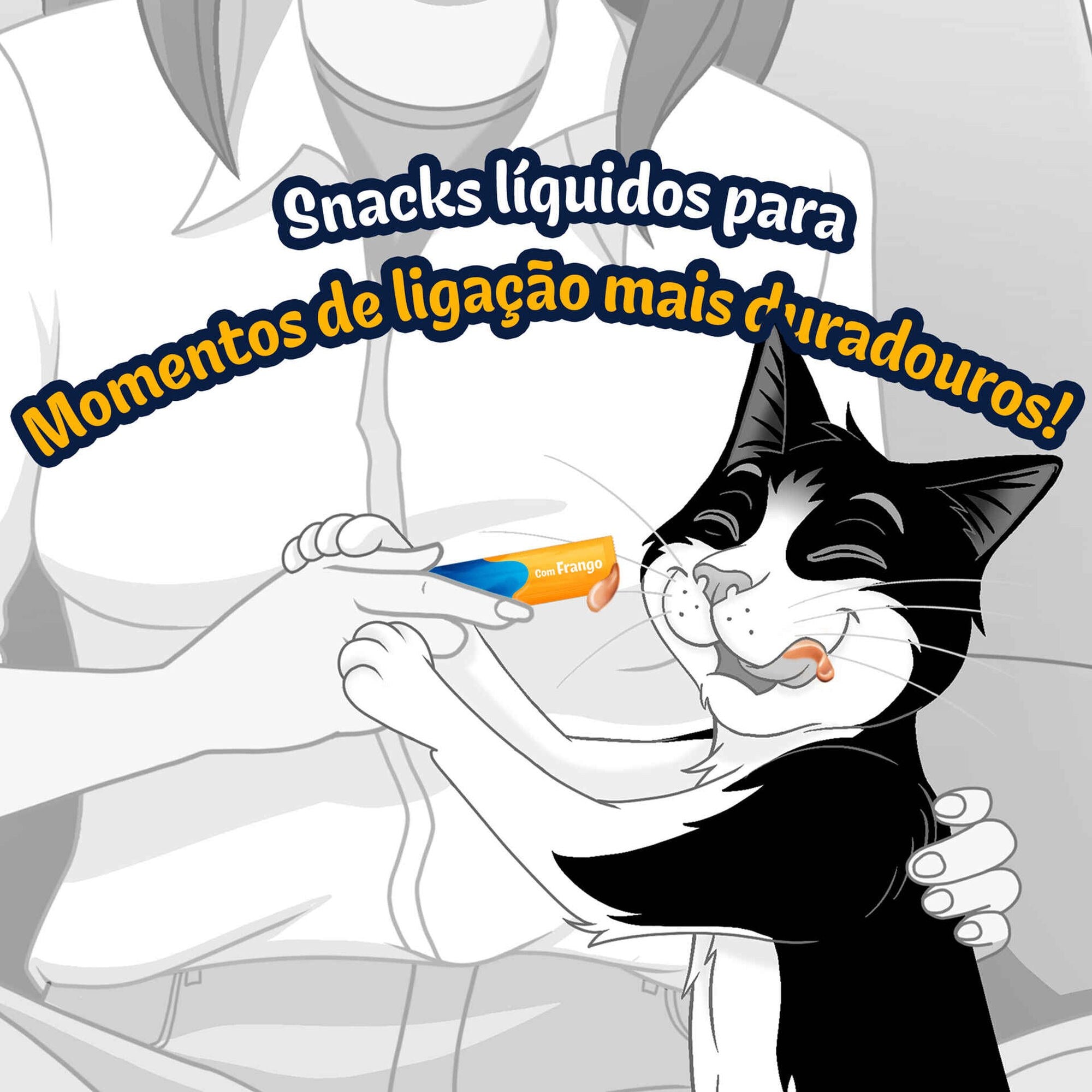 Purina Felix Deli Moments Snack Líquido Gato Frango 10g 4x10 g