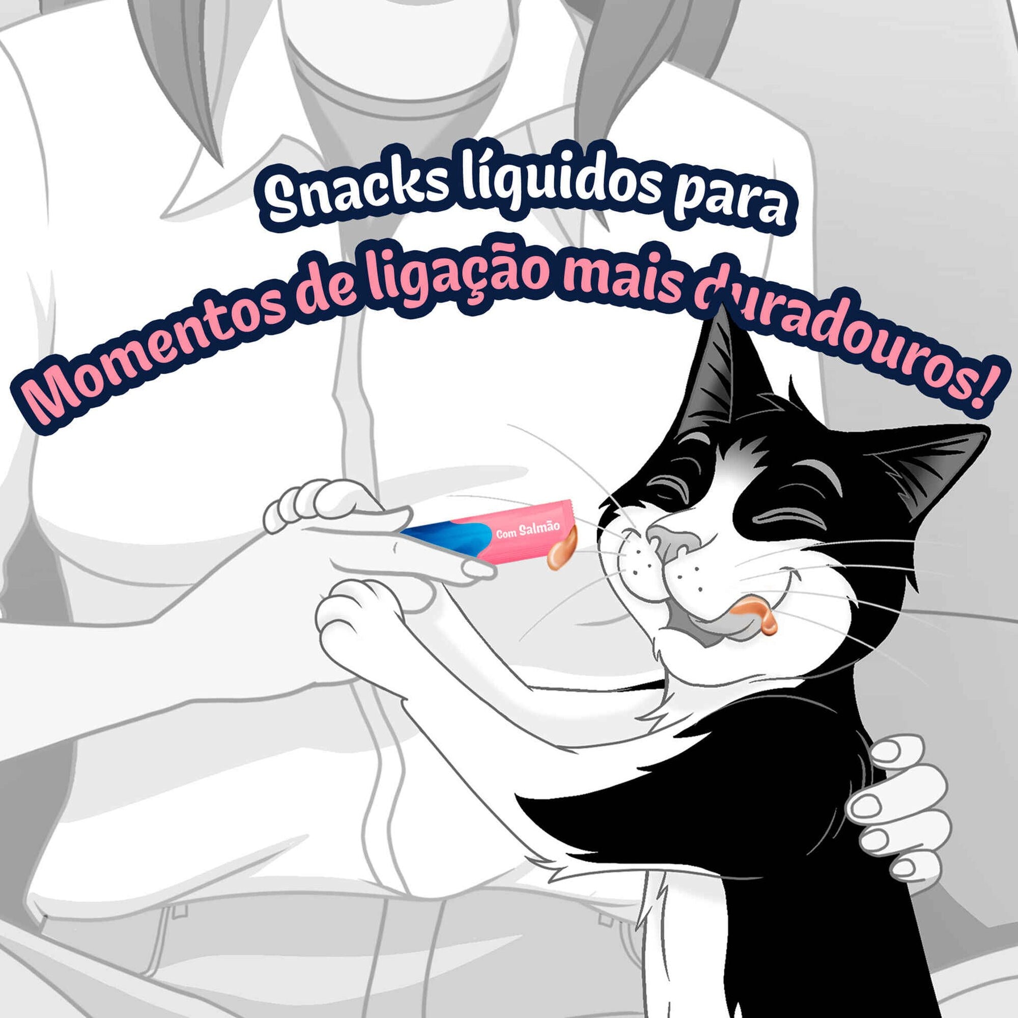 Snack Líquido Felix Deli Moments Salmão, 10 g 4x10 g