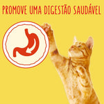 Purina Friskies Ração Seca para Gato Adulto Salmão 4 kg