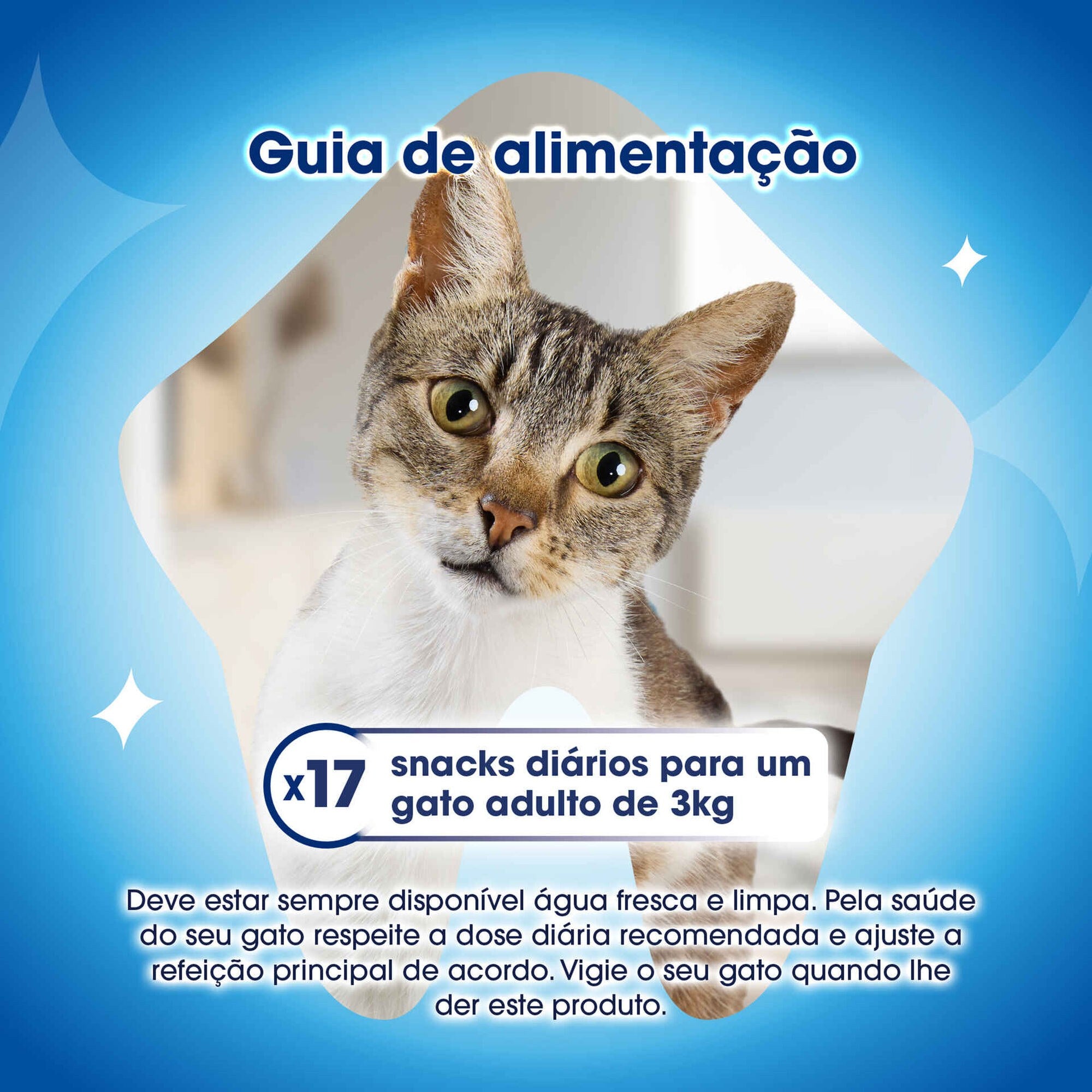 Snack Purina Dentalife para Gato Sabor Frango 140 g