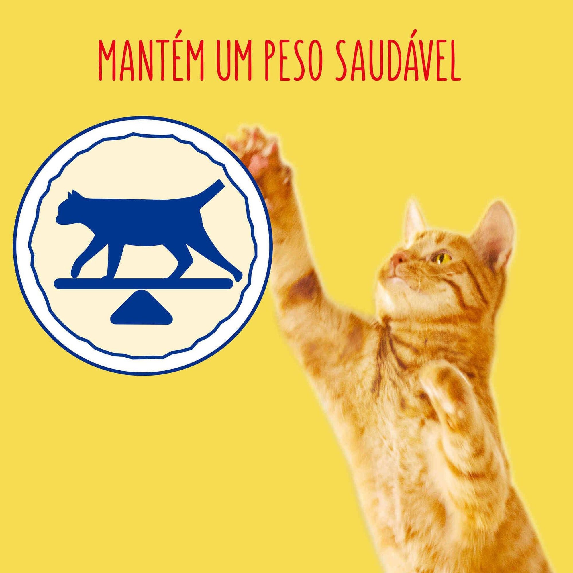 Purina Friskies Ração para Gato Adulto Esterilizado com Salmão 3 kg