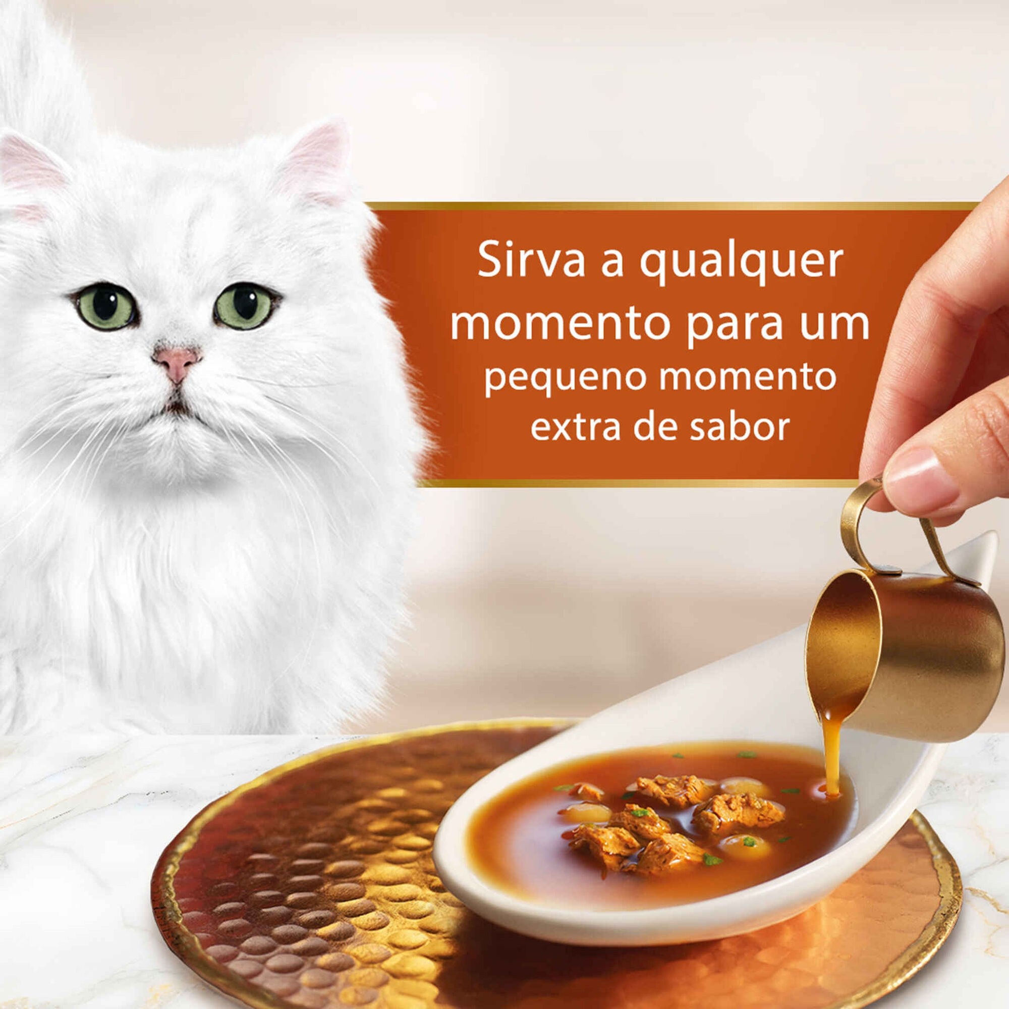 Purina Gourmet Soup Royale Snack Líquido Gato Salmão, Bacalhau e Solha 45 g 6x45 g