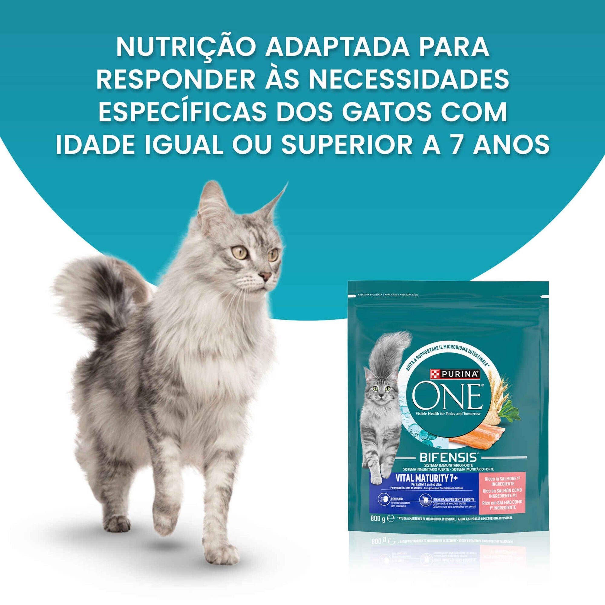 Purina One Vital Maturity Salmão para Gato Sénior 800 g