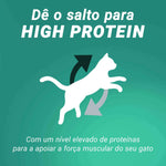 Ração Purina One High Protein para Gato Adulto com Salmão 900 g