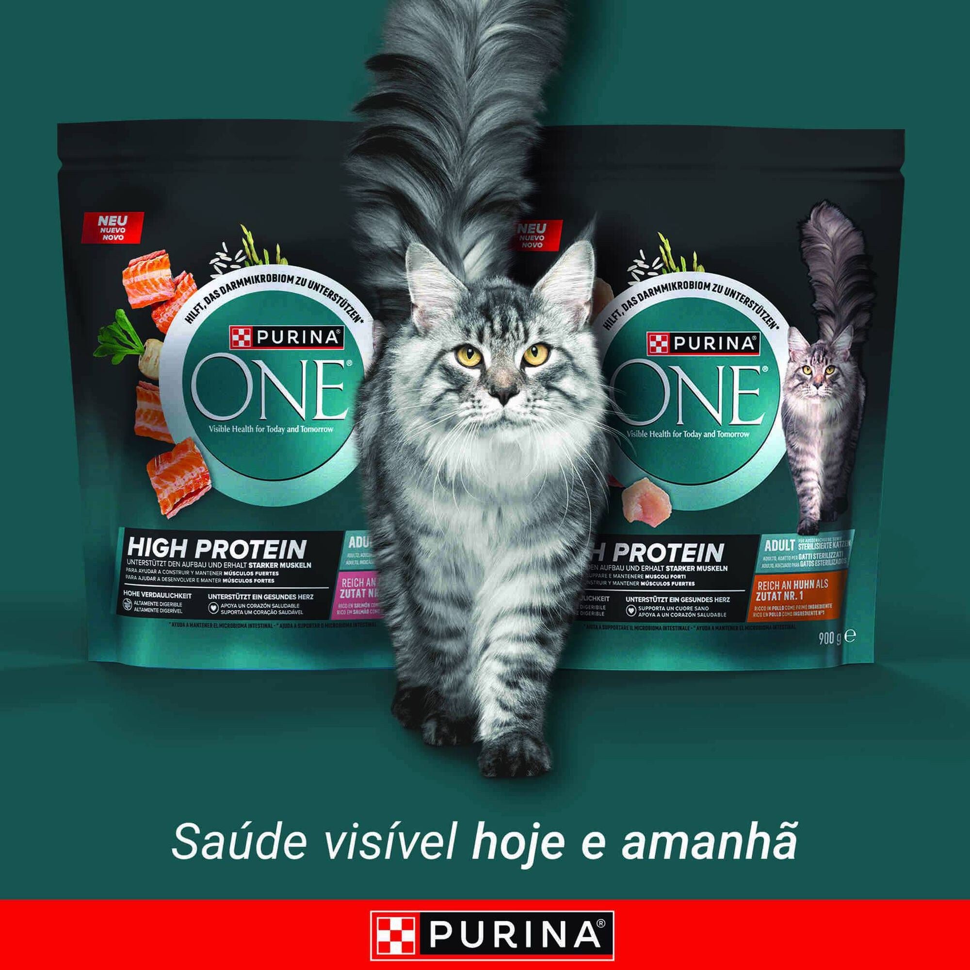 Purina One Ração Gato Adulto High Protein Frango 900 g