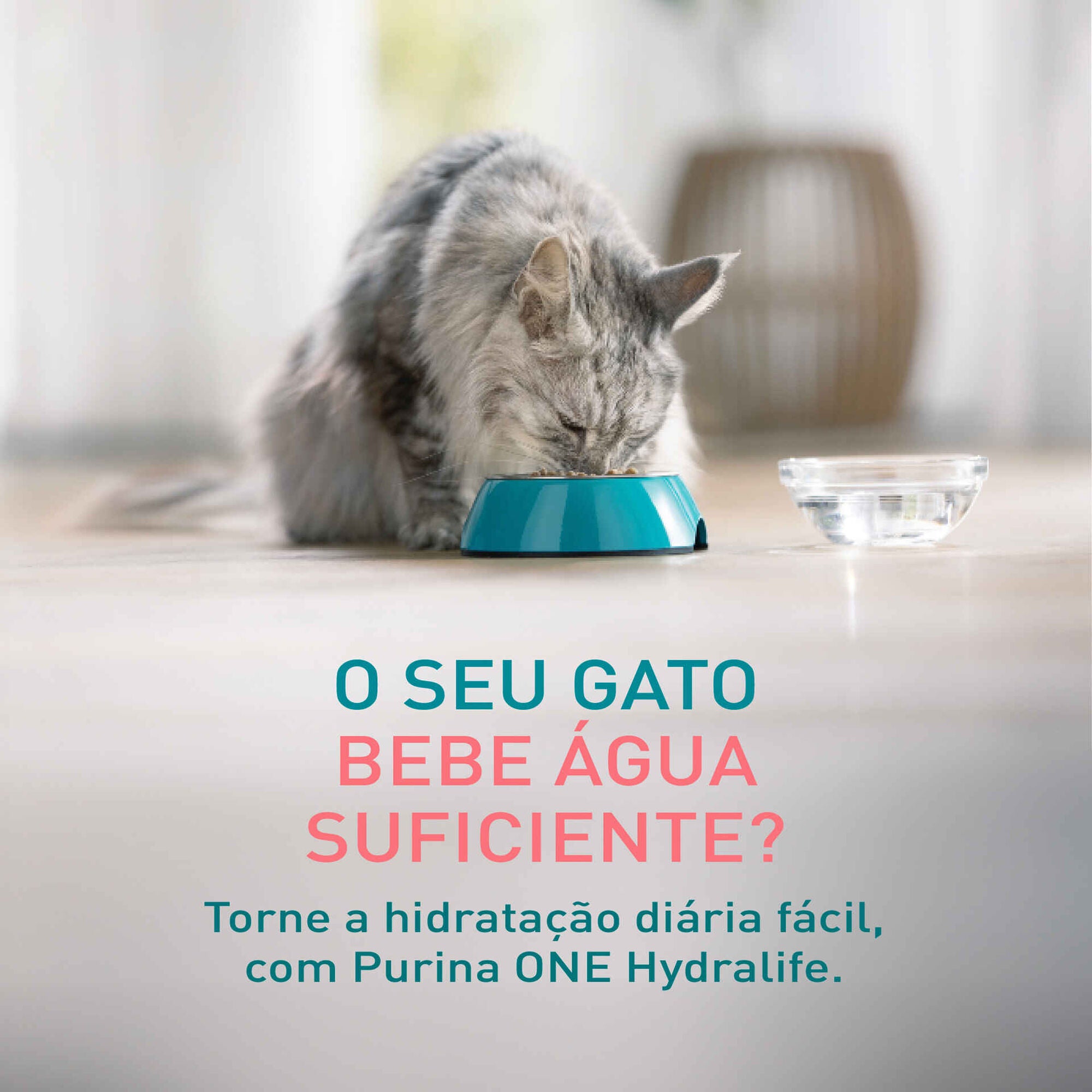 Purina One Hydra Life Snack Líquido Salmão para Gato 50 g