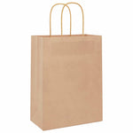 HKH Sacos de Papel 250 Unidades com Alças - Castanho - 21x11x28 cm
