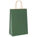 HKH Sacos de Papel 250 Unidades com Alças - Verde - 21x11x31 cm