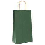 HKH Bolsas de Papel 250 Unidades con Asas - Verde - 21x11x36 cm