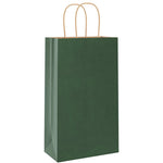 HKH Bolsas de Papel 250 Unidades con Asas - Verde - 21x11x36 cm