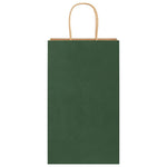 HKH Bolsas de Papel 250 Unidades con Asas - Verde - 21x11x36 cm