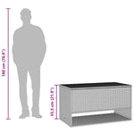 HKH Caixa Para Almofadões De Exterior 100x55x55,5 Cm Vime Pe - Cinzento