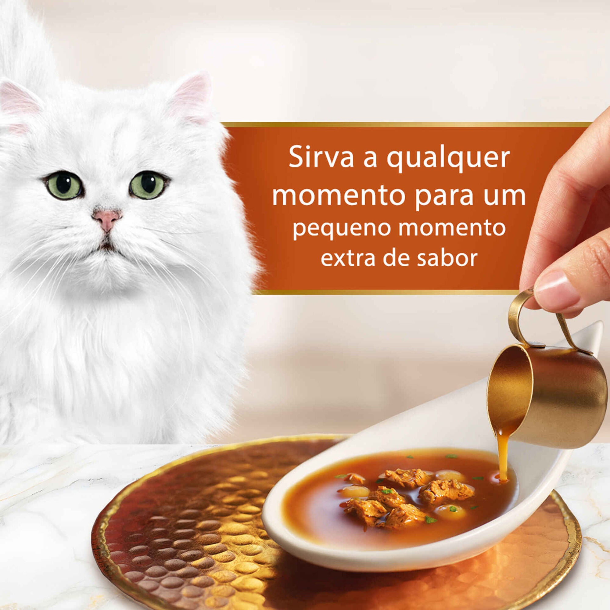 Purina Gourmet Soup Royale Snack Líquido Gato Salmão, Bacalhau e Solha 45 g 6x45 g