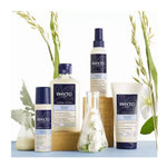 Phyto Softness champô seco 75ml