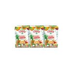 Compal Clássico Néctar Tutti-Frutti 3 x 20 cl