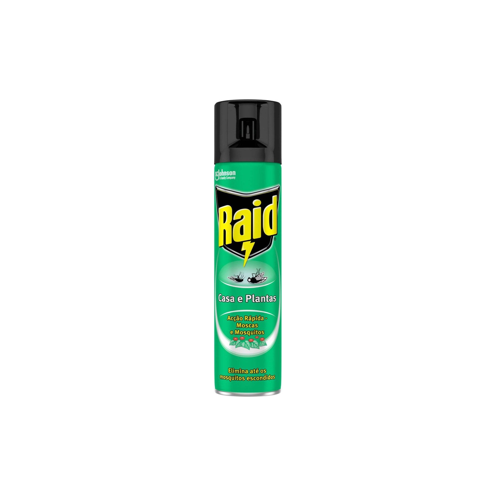 Raid Insecticida Spray Casa e Plantas 400 ml