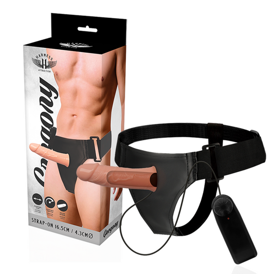 Harness Attraction Gregory Hollow Rnes Com Vibrador 16.5 Cm -o- 4.3 Cm