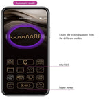 Pretty Love Catalina Vibrador App Controle Remoto Roxo