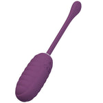 Pretty Love Ovo Vibratório Recarregável Roxo Casper