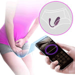 Pretty Love Ovo Vibratório Recarregável Roxo Casper