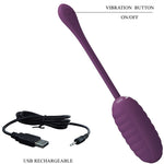 Pretty Love Ovo Vibratório Recarregável Roxo Casper