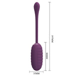 Pretty Love Ovo Vibratório Recarregável Roxo Casper