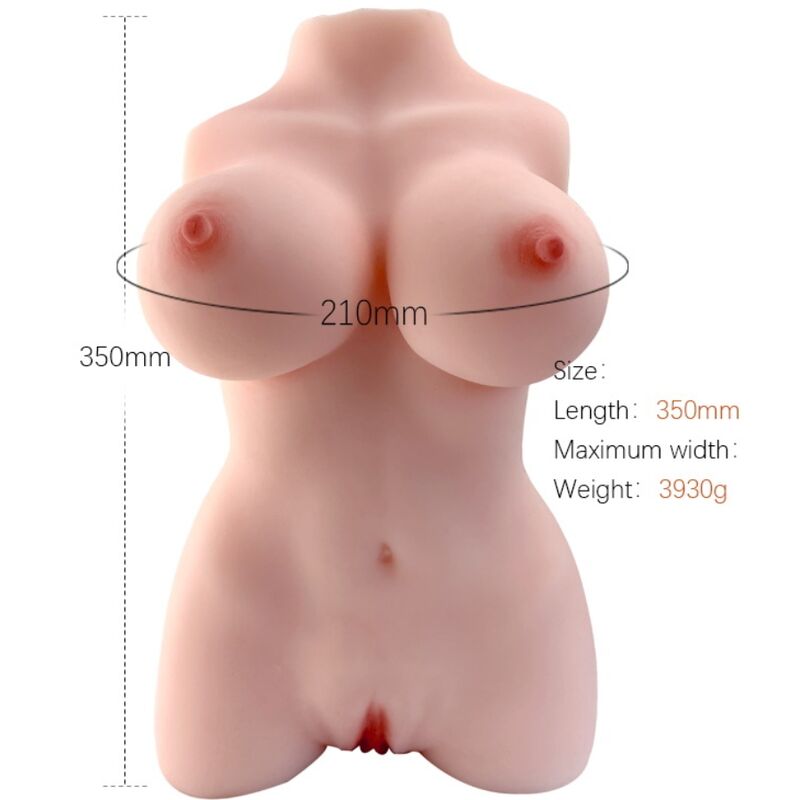 Armony - Torso Feminino Realista Modelo 3