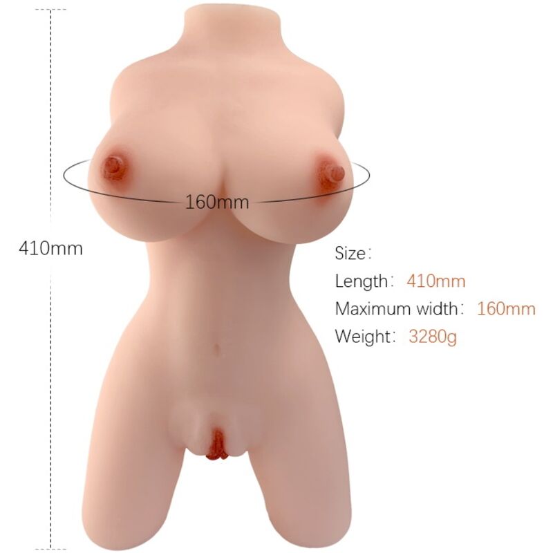Armony - Torso Feminino Realista Modelo 4