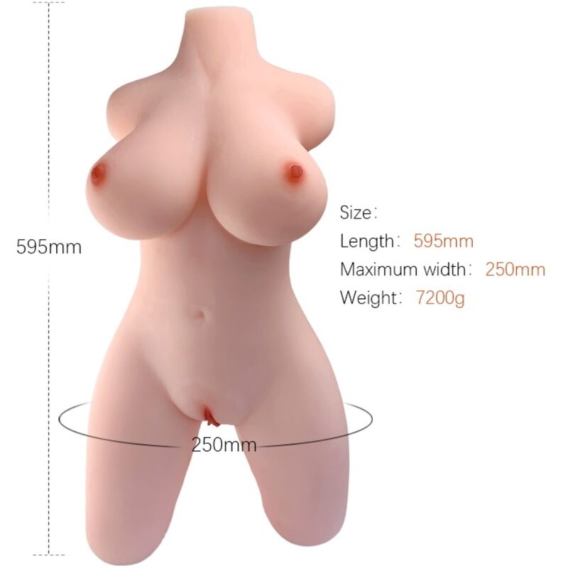 Armony - Modelo de Torso Feminino Realista 2