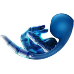 Satisfyer - Pro+ Wave 4 Estimulador de Ponto G e Air Pulse Aplicativo Gratuito Azul Escuro