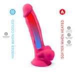 Silexd - Modelo de Pénis Realista 18 Vibração Rosa + Controle Remoto Lrs