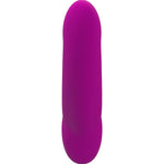 Fábrica da Diversão - Dildo Duplo Share Lite Blackberry