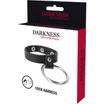 DARKNESS - ANEL DE METAL PARA PÊNIS E TESTÍCULOS
