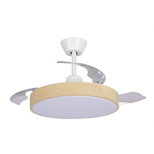 VENT HAEGER TETO-106C-66W.6V-BRIGHTWO