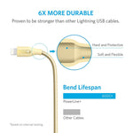 PowerLine+ Lightning 3ft (0.9M) Dourado