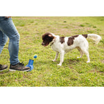 Beeztees Brinquedo Para Cão Fetch Football Shooter Azul