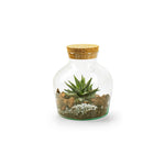 Jarra de Vidro Eco com Tampa Cortiça 21 cm
