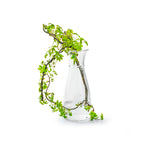 Jarra Grape 24 x 11 cm
