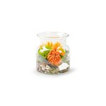Vaso de Vidro Eco 12 cm Nobles