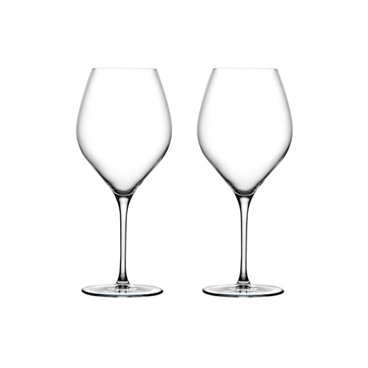 Conjunto 2 Copos de Vinho Branco Vinifera 600 cc