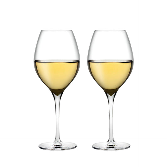 Conjunto 2 Copos de Vinho Branco Vinifera 360 cc