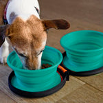 Beeztees Comedouro para Cão de Viagem Silicone Verde 2 x 720 ml