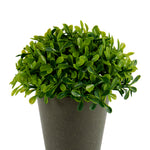 Jarrón Gris con Planta Artificial Redonda