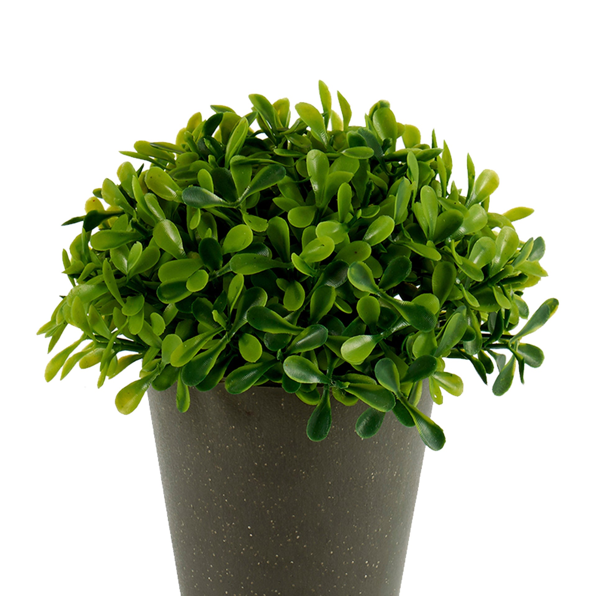 Jarrón Gris con Planta Artificial Redonda