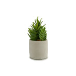 Florero Redondo Blanco con Cactus 25 cm