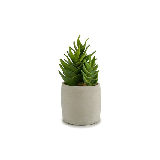 Vaso Redondo Branco com Cacto 25 cm