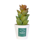 Planta Artificial 1 un